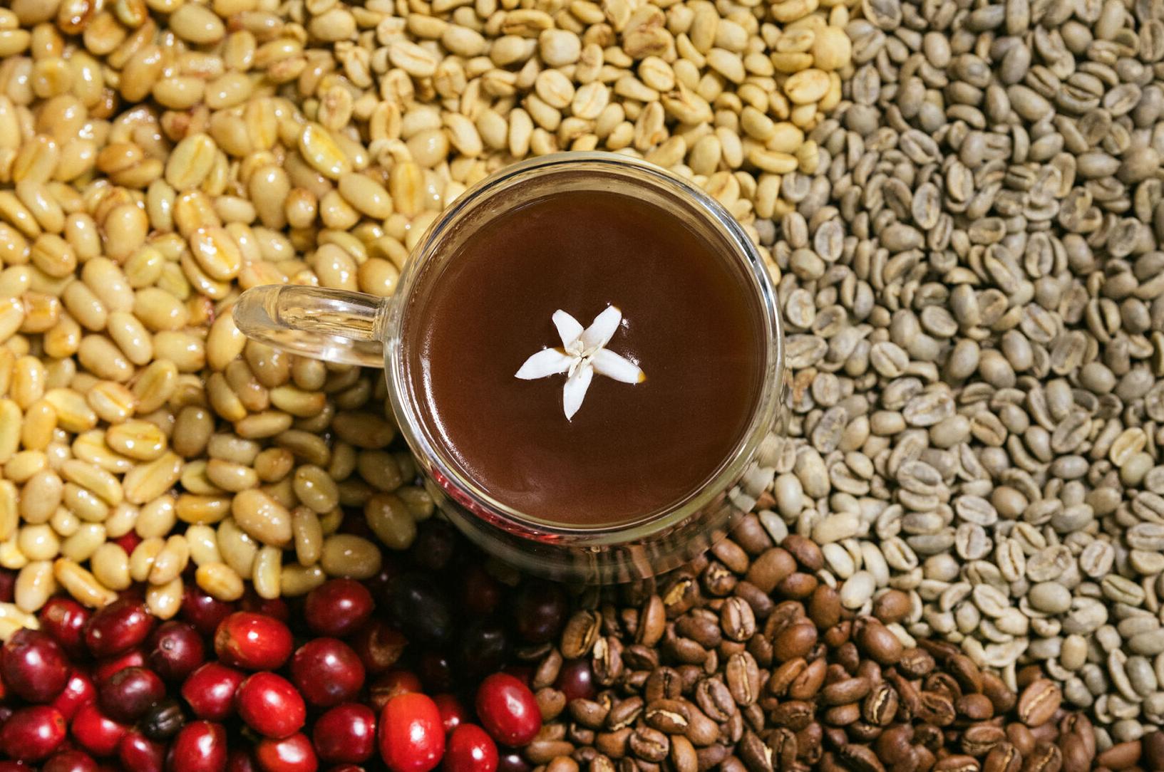 Frinj coffee stages with coffee
